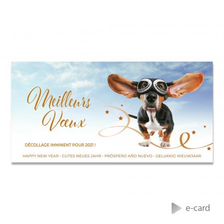 E-card vœux entreprise humoristique avec chien 